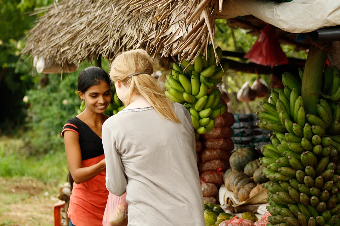 Why Tourism Needs to Become Regenerative