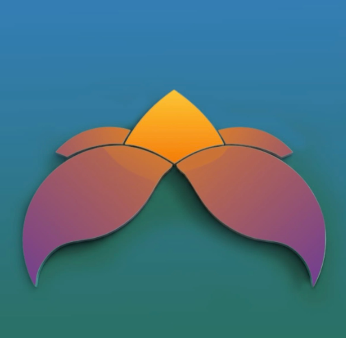 RAAHI logo